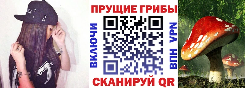 Галлюциногенные грибы Cubensis даркнет сайт Учалы